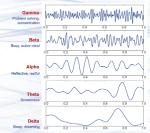 Theta wave frequency for wealth manifestation - Neuroscience diagram